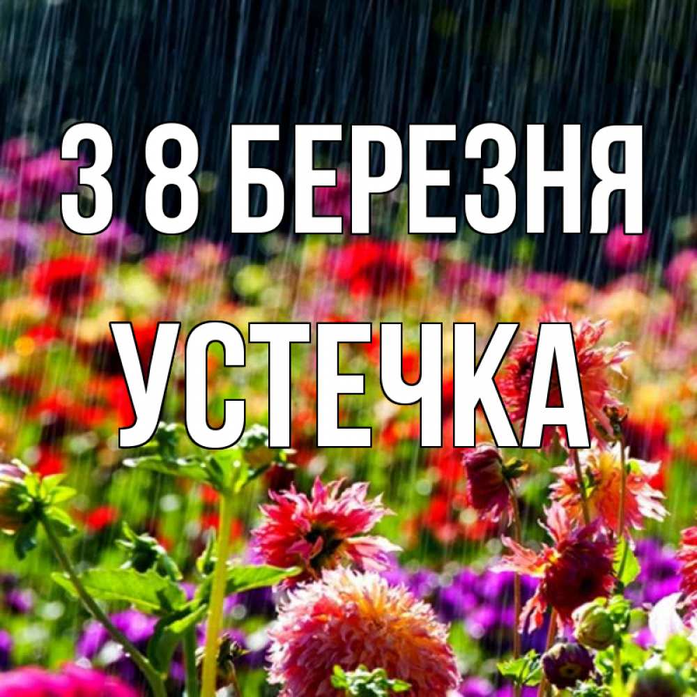 Открытка на каждый день з підписом, Устечка З 8 БЕРЕЗНЯ цветы под дождиком к международному женскому дню Прикольна листівка з побажанням онлайн скачати безкоштовно 