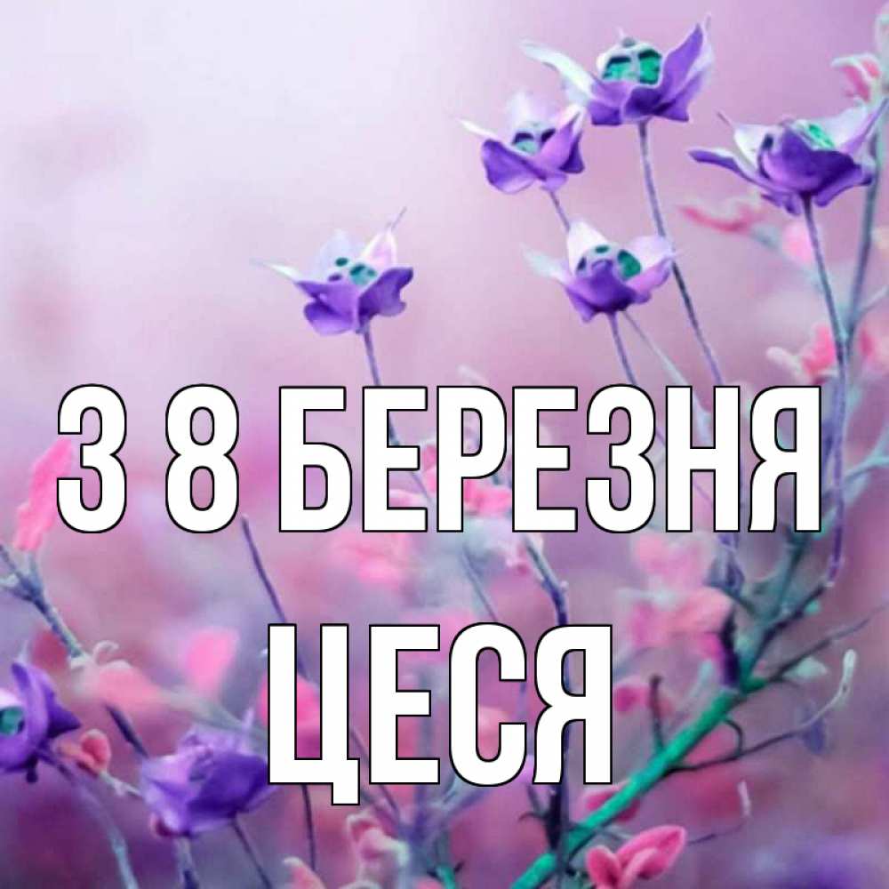 Открытка на каждый день з підписом, Цеся З 8 БЕРЕЗНЯ международный женский день 2 Прикольна листівка з побажанням онлайн скачати безкоштовно 