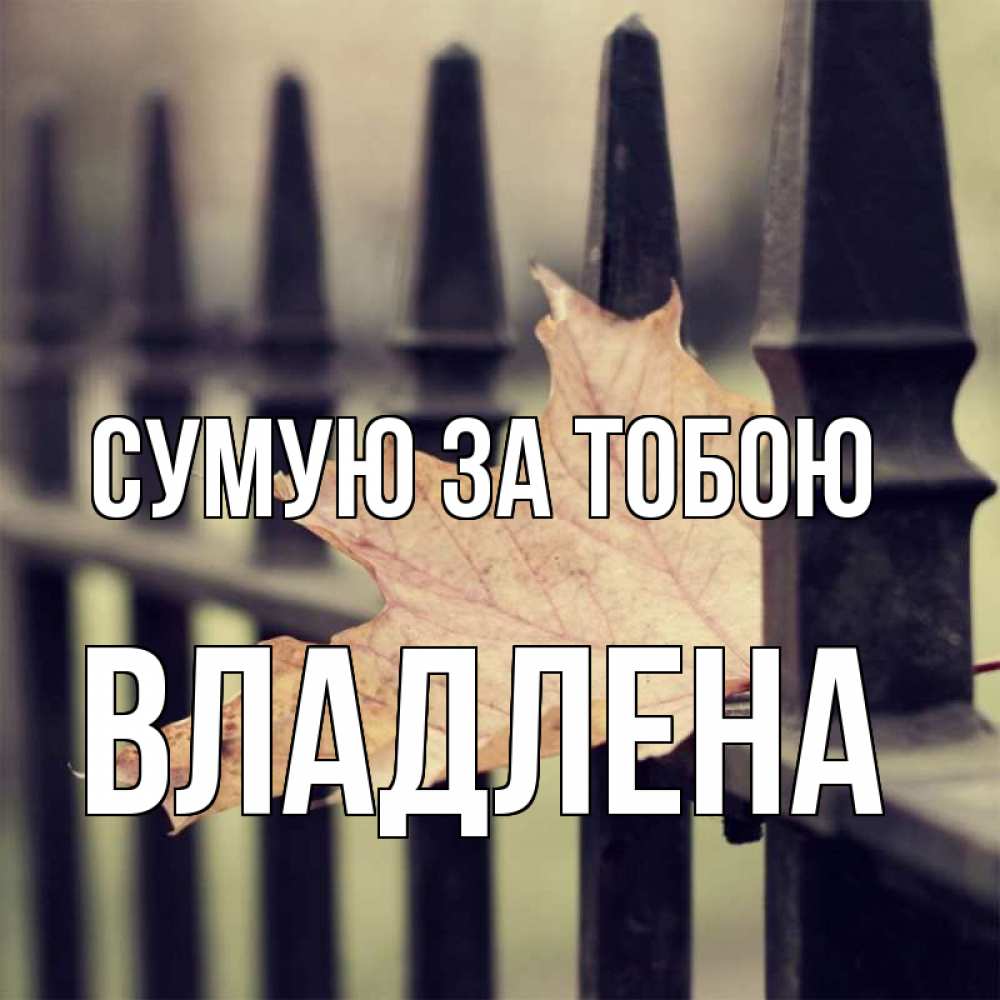 Открытка на каждый день з підписом, Владлена Сумую за тобою очень скучно Прикольна листівка з побажанням онлайн скачати безкоштовно 