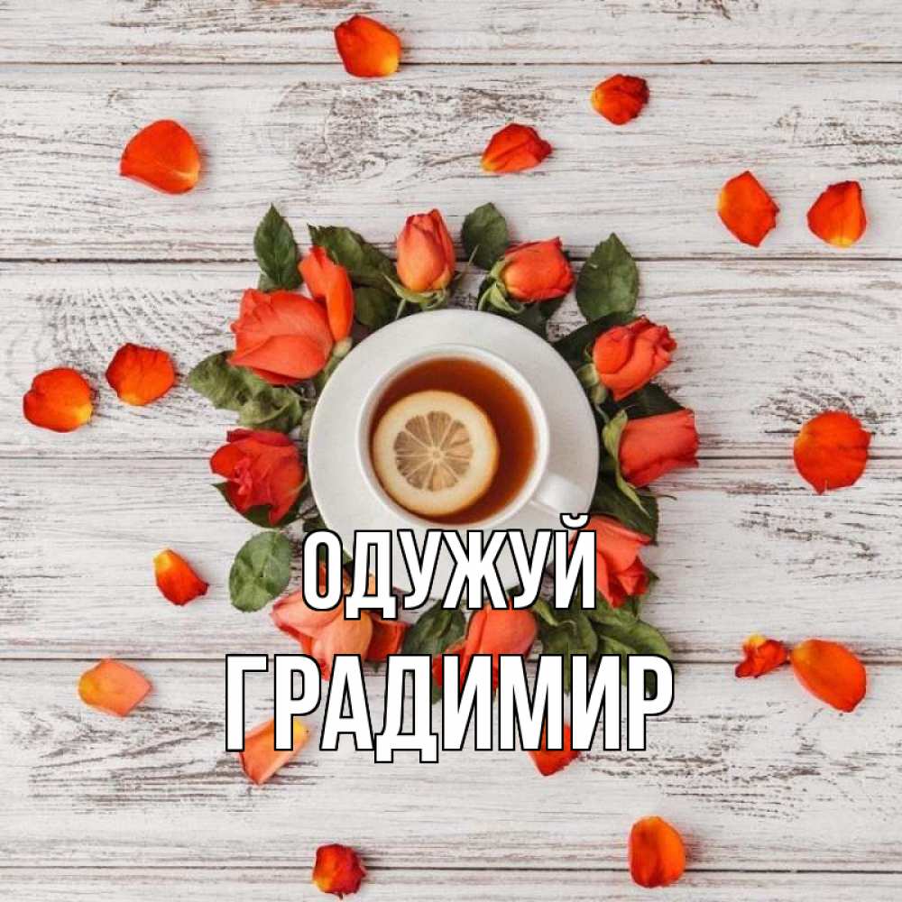 Открытка на каждый день з підписом, Градимир Одужуй фон из досок Прикольна листівка з побажанням онлайн скачати безкоштовно 