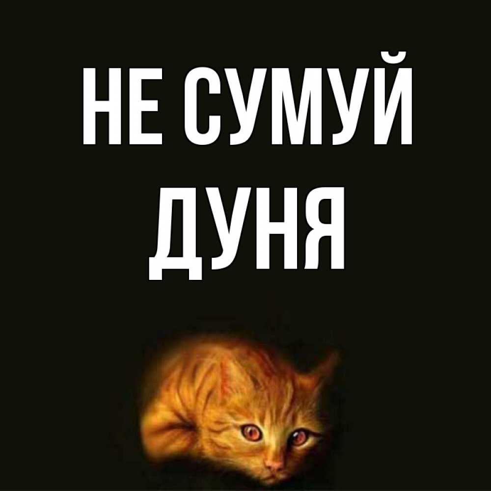 Открытка на каждый день з підписом, Дуня Не сумуй лежащий кот в темноте Прикольна листівка з побажанням онлайн скачати безкоштовно 