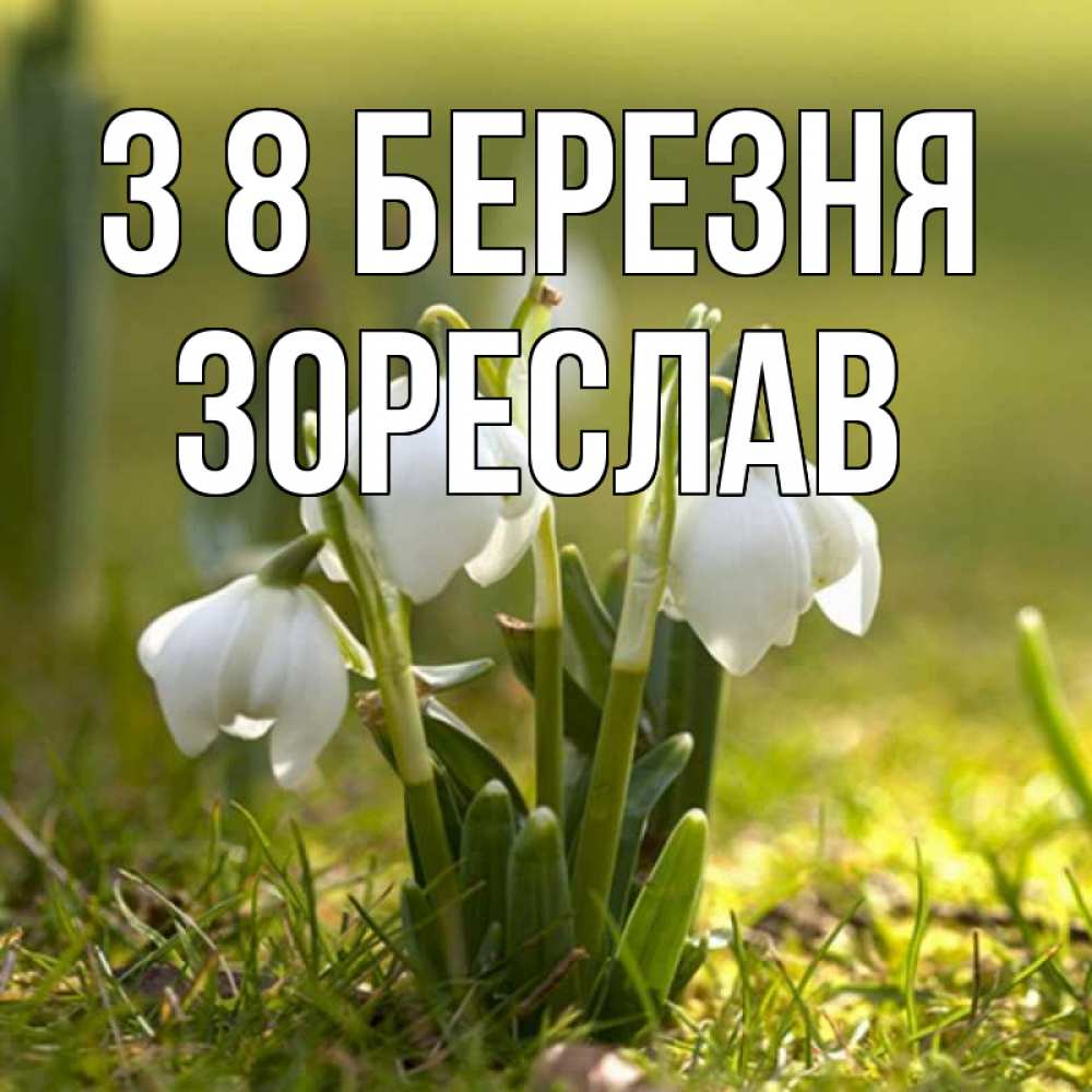 Открытка на каждый день з підписом, Зореслав З 8 БЕРЕЗНЯ ранние цветы 2 Прикольна листівка з побажанням онлайн скачати безкоштовно 