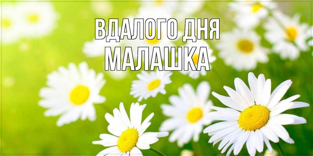 Открытка на каждый день з підписом, Малашка Вдалого дня открытка с ромашками на зеленом фоне Прикольна листівка з побажанням онлайн скачати безкоштовно 