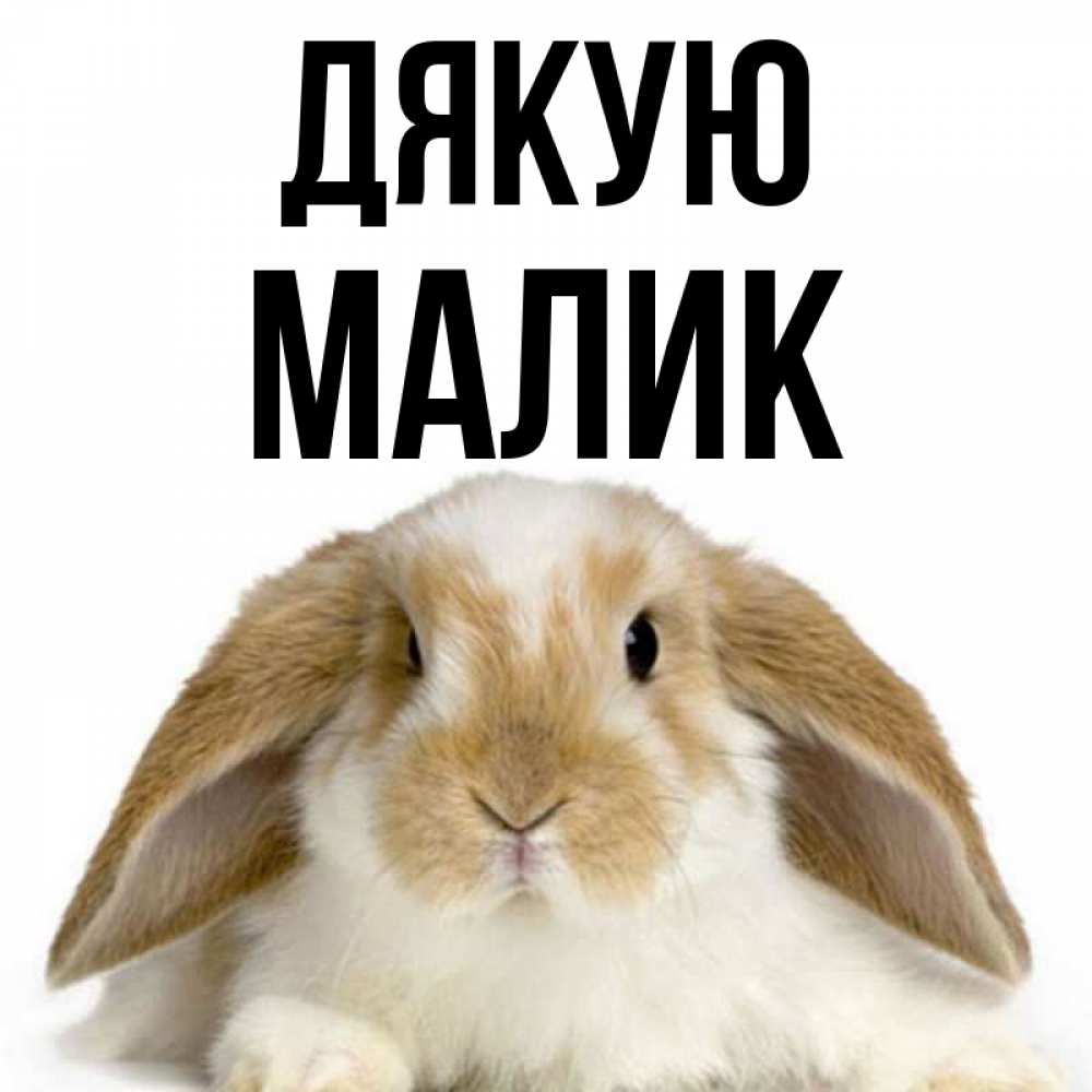 Открытка на каждый день з підписом, Малик Дякую коричнево белый заяц Прикольна листівка з побажанням онлайн скачати безкоштовно 