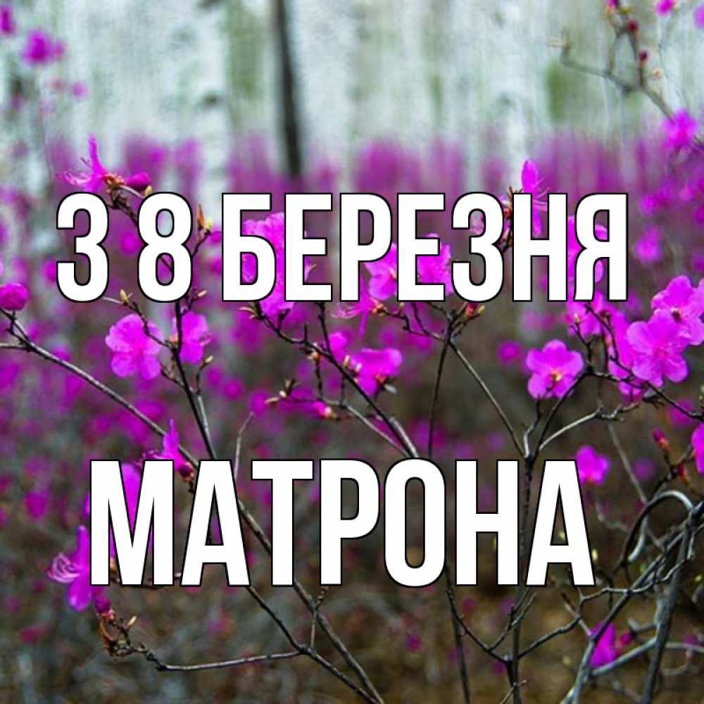 Открытка на каждый день з підписом, Матрона З 8 БЕРЕЗНЯ дикие цветы Прикольна листівка з побажанням онлайн скачати безкоштовно 
