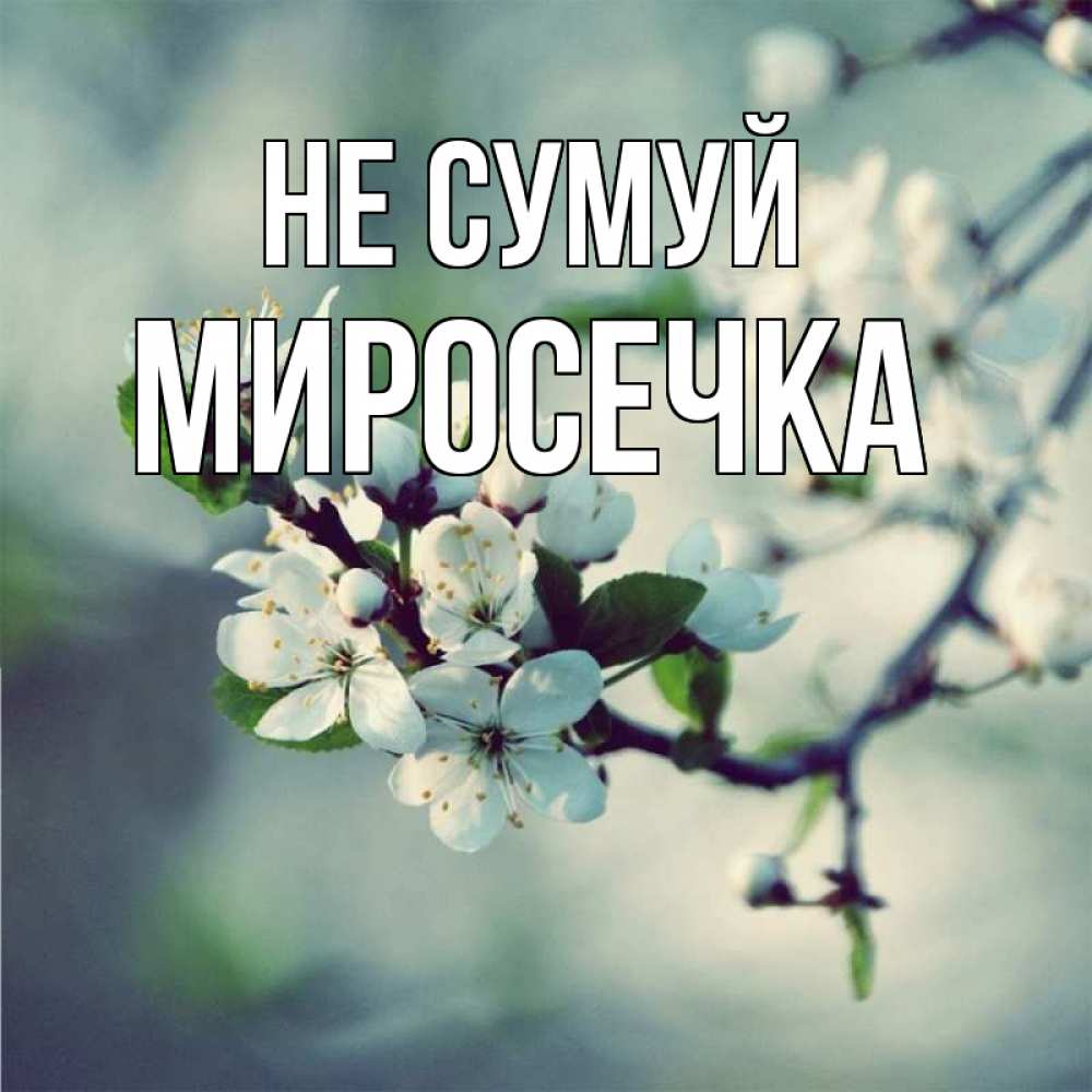 Открытка на каждый день з підписом, Миросечка Не сумуй яблоня в цвету 1 Прикольна листівка з побажанням онлайн скачати безкоштовно 