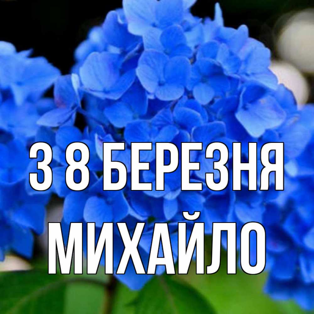 Открытка на каждый день з підписом, Михайло З 8 БЕРЕЗНЯ синие цветы Прикольна листівка з побажанням онлайн скачати безкоштовно 