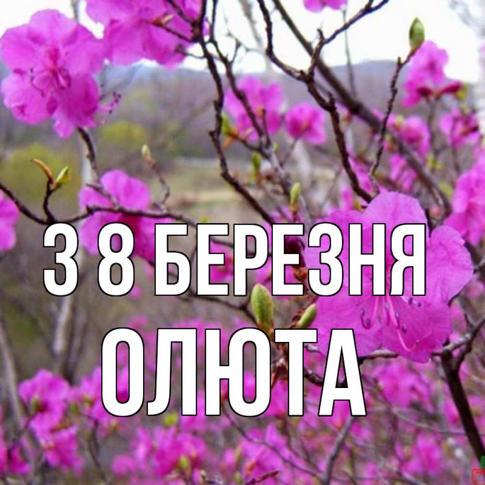 Открытка на каждый день з підписом, Олюта З 8 БЕРЕЗНЯ международный женский день Прикольна листівка з побажанням онлайн скачати безкоштовно 