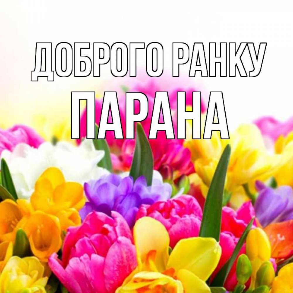 Открытка на каждый день з підписом, Парана Доброго ранку создать открытку со свое подписью Прикольна листівка з побажанням онлайн скачати безкоштовно 