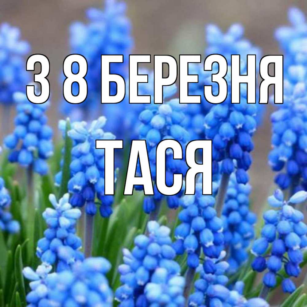 Открытка на каждый день з підписом, Тася З 8 БЕРЕЗНЯ Поздравительная открытка для женщин с цветами на праздничную дату Прикольна листівка з побажанням онлайн скачати безкоштовно 