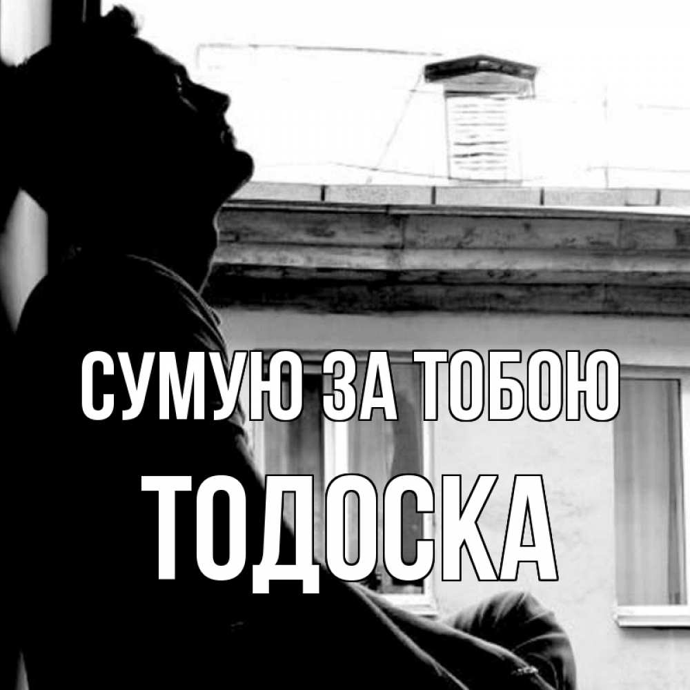 Открытка на каждый день з підписом, Тодоска Сумую за тобою скучно ему Прикольна листівка з побажанням онлайн скачати безкоштовно 