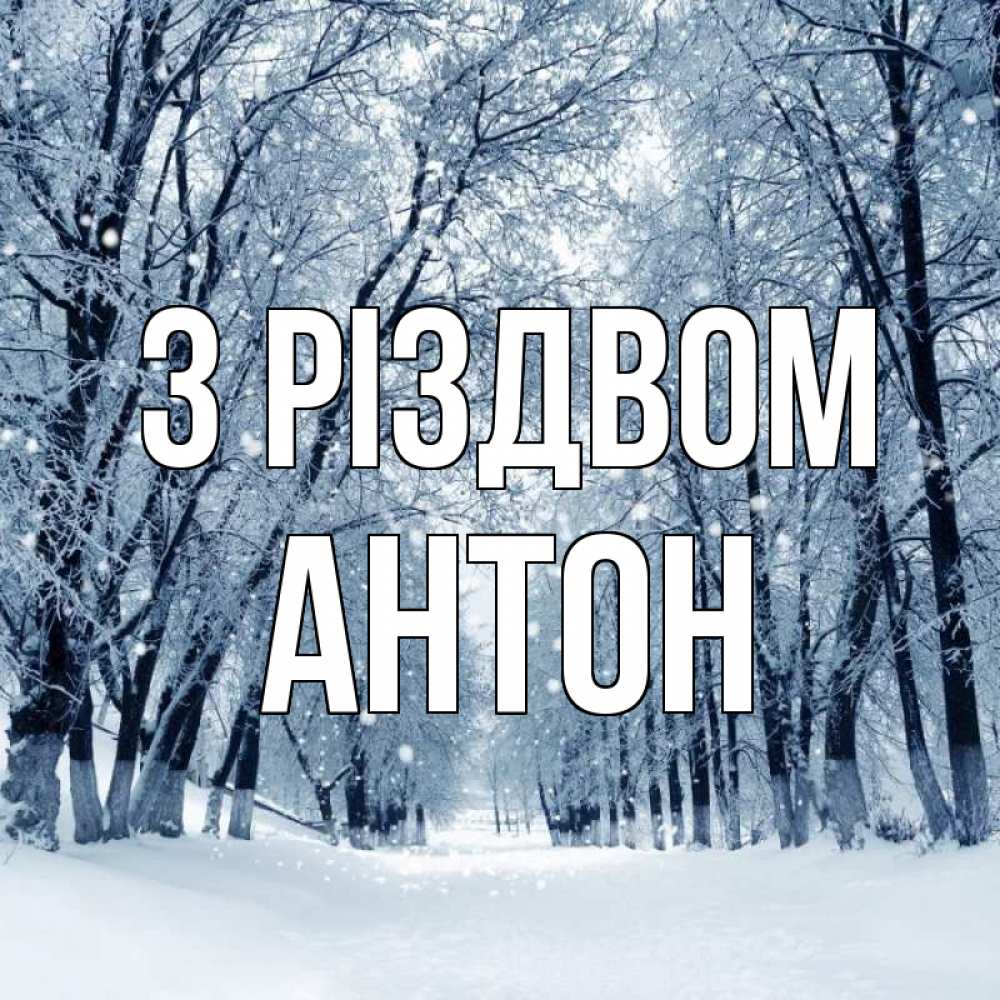 Открытка на каждый день з підписом, Антон З Різдвом снег, лес, парк Прикольна листівка з побажанням онлайн скачати безкоштовно 