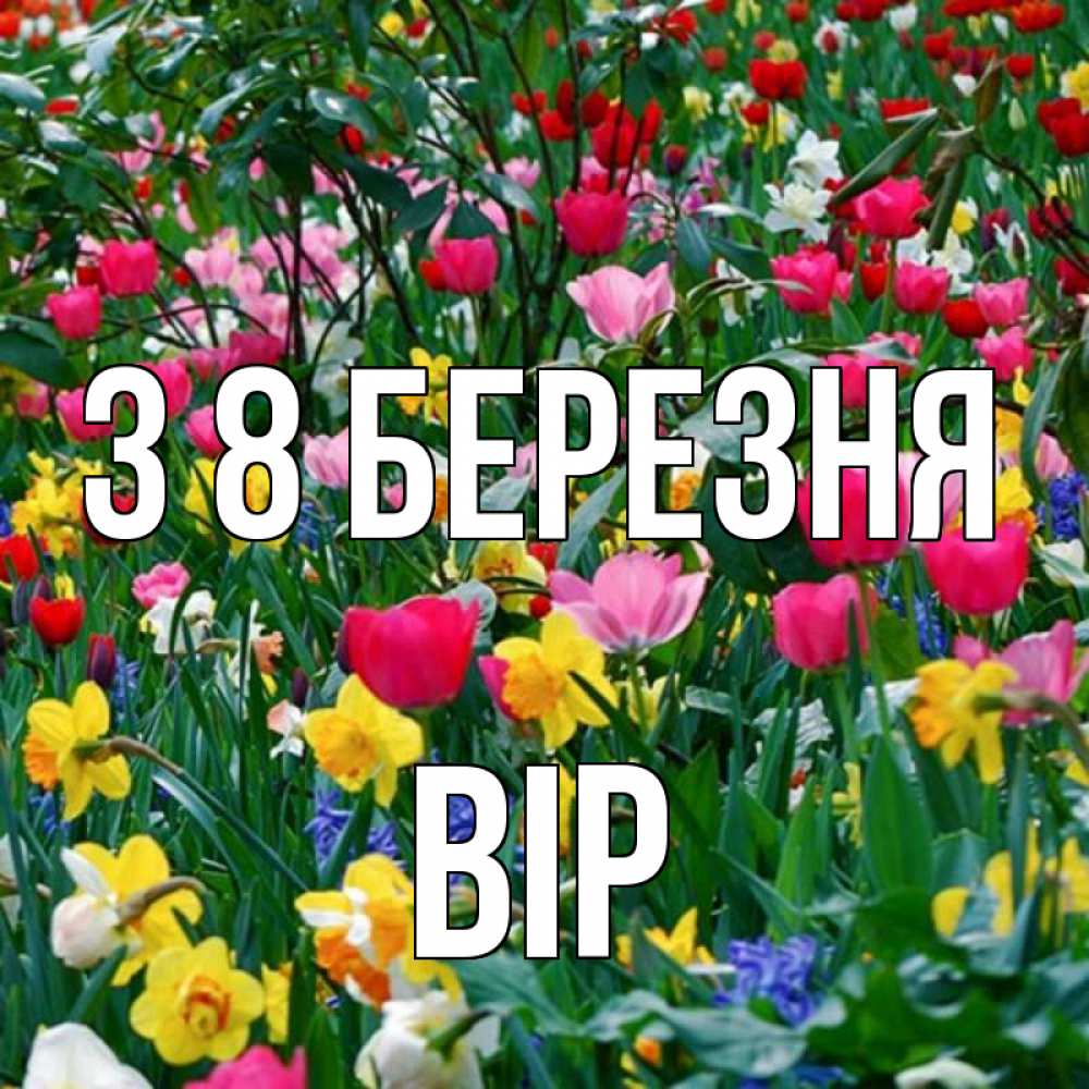 Открытка на каждый день з підписом, Вір З 8 БЕРЕЗНЯ с международным женским днем поздравления для женщины Прикольна листівка з побажанням онлайн скачати безкоштовно 