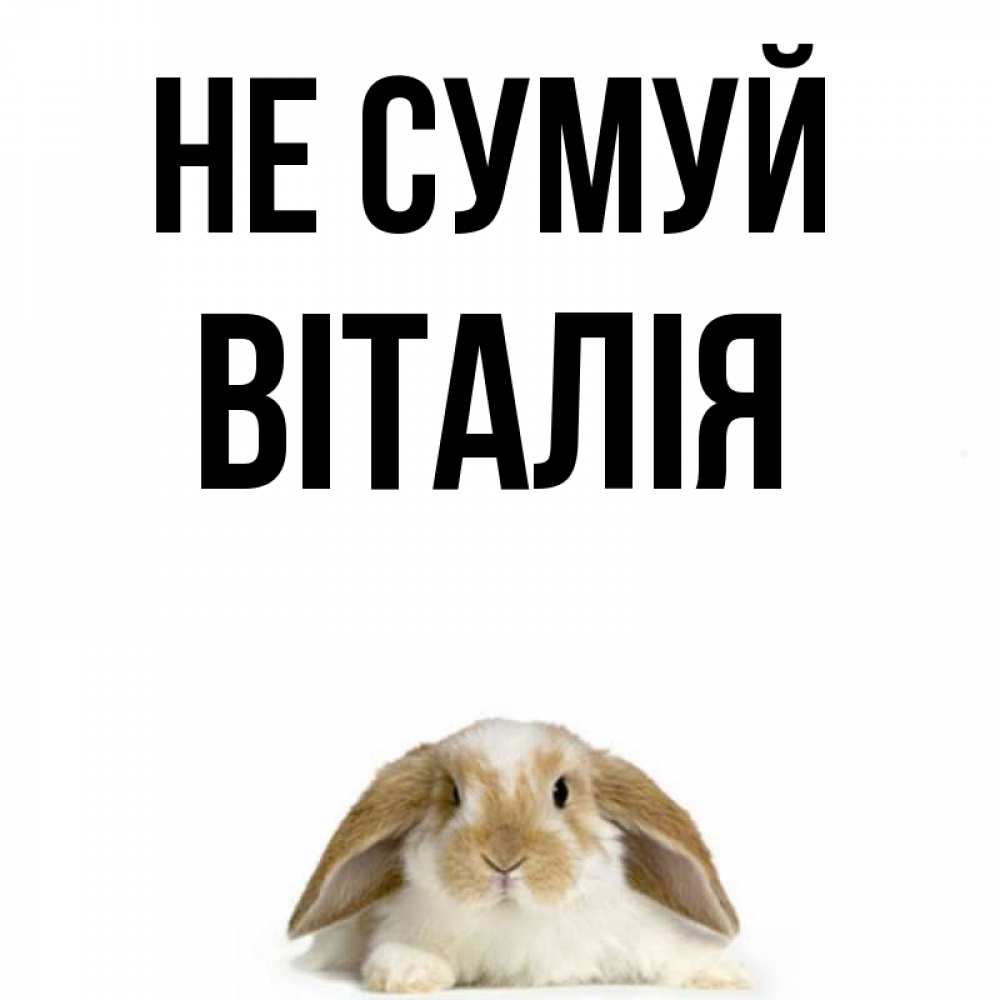 Открытка на каждый день з підписом, Віталія Не сумуй коричнево белый заяц с большими ушками Прикольна листівка з побажанням онлайн скачати безкоштовно 