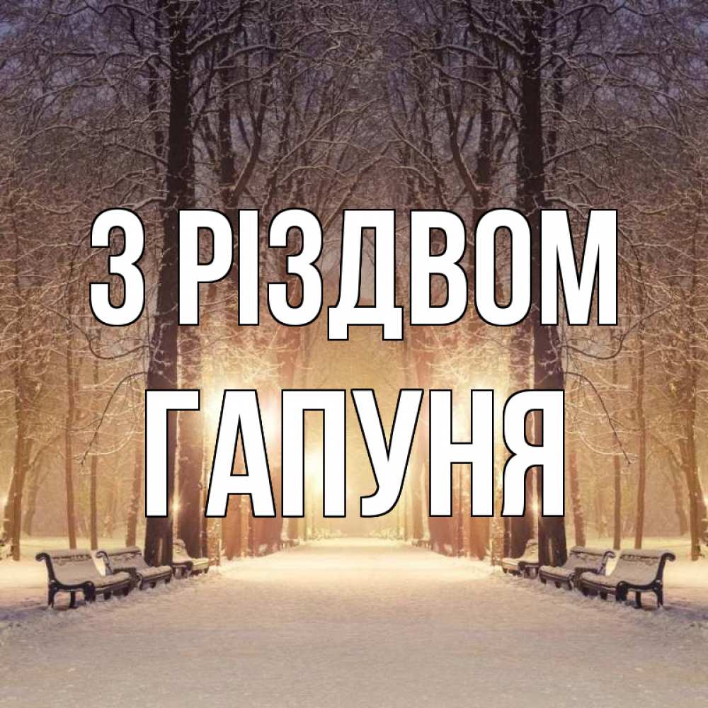 Открытка на каждый день з підписом, Гапуня З Різдвом зима, парк, фонарь, лес Прикольна листівка з побажанням онлайн скачати безкоштовно 