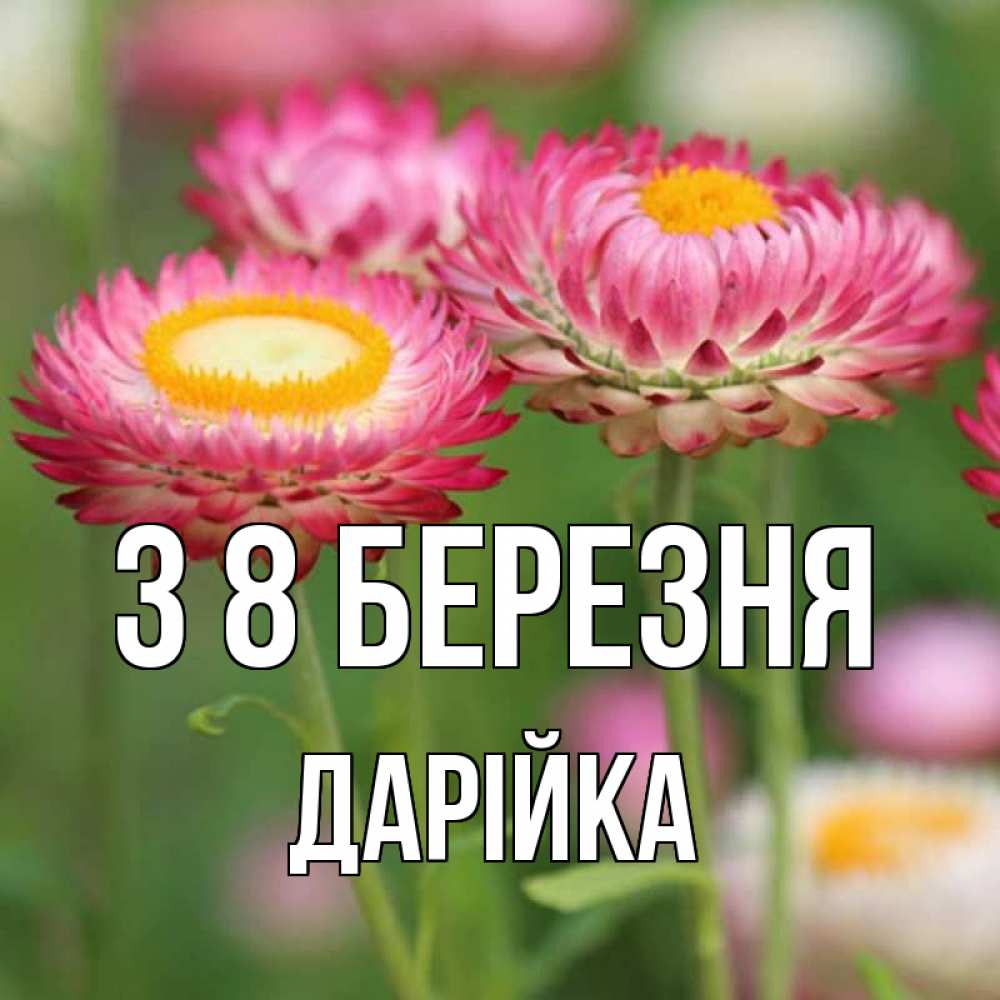 Открытка на каждый день з підписом, Дарійка З 8 БЕРЕЗНЯ подарок на международный женский день Прикольна листівка з побажанням онлайн скачати безкоштовно 