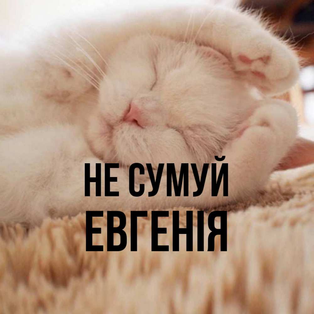 Открытка на каждый день з підписом, Евгенія Не сумуй Котенок спит Прикольна листівка з побажанням онлайн скачати безкоштовно 