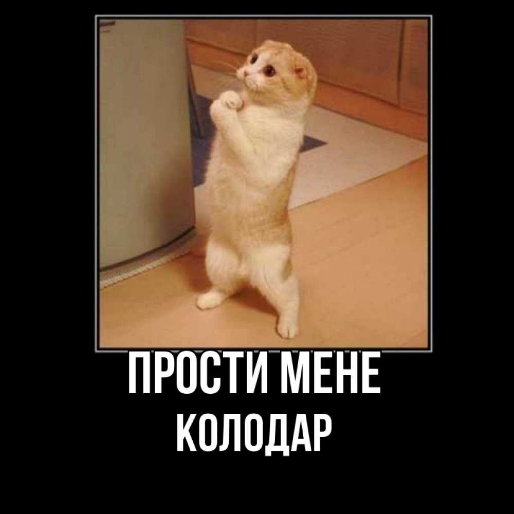 Открытка на каждый день з підписом, Колодар Прости мене открытка с милым несчастным котиком просящим прощения Прикольна листівка з побажанням онлайн скачати безкоштовно 