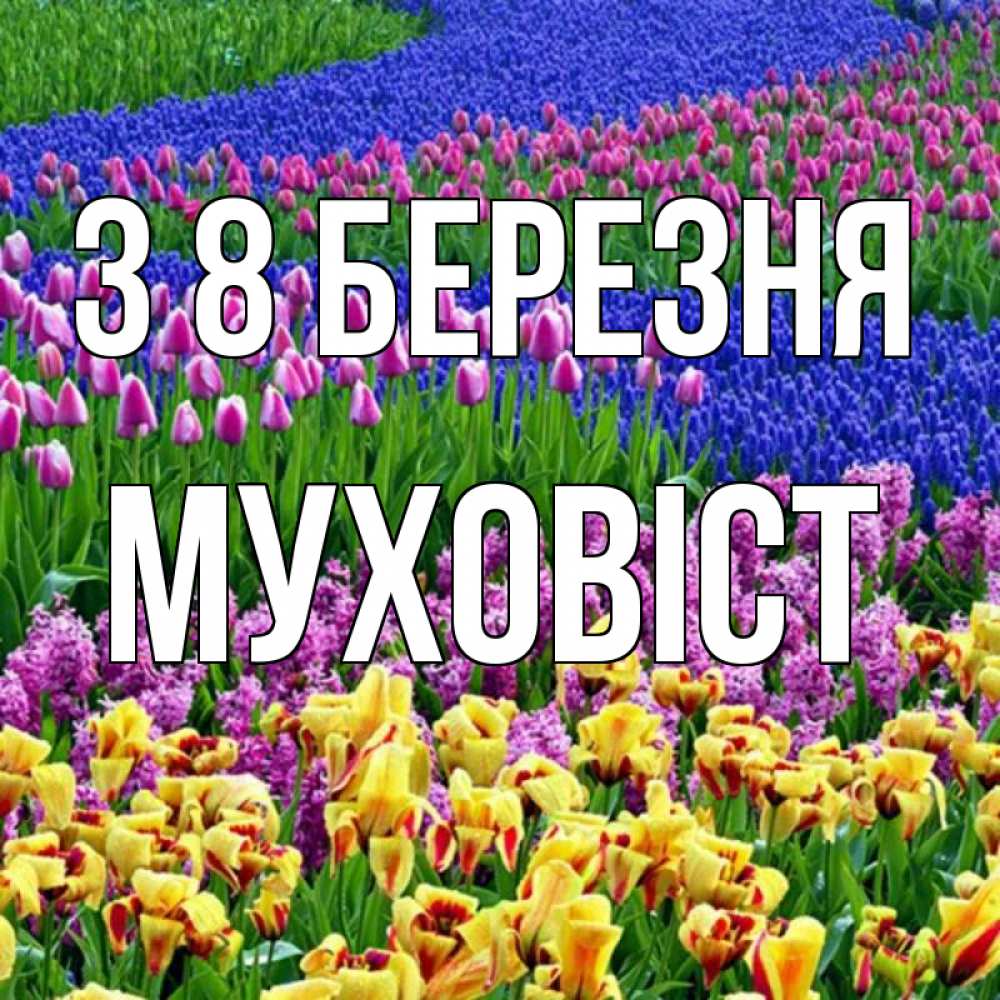Открытка на каждый день з підписом, Муховіст З 8 БЕРЕЗНЯ цветы Прикольна листівка з побажанням онлайн скачати безкоштовно 