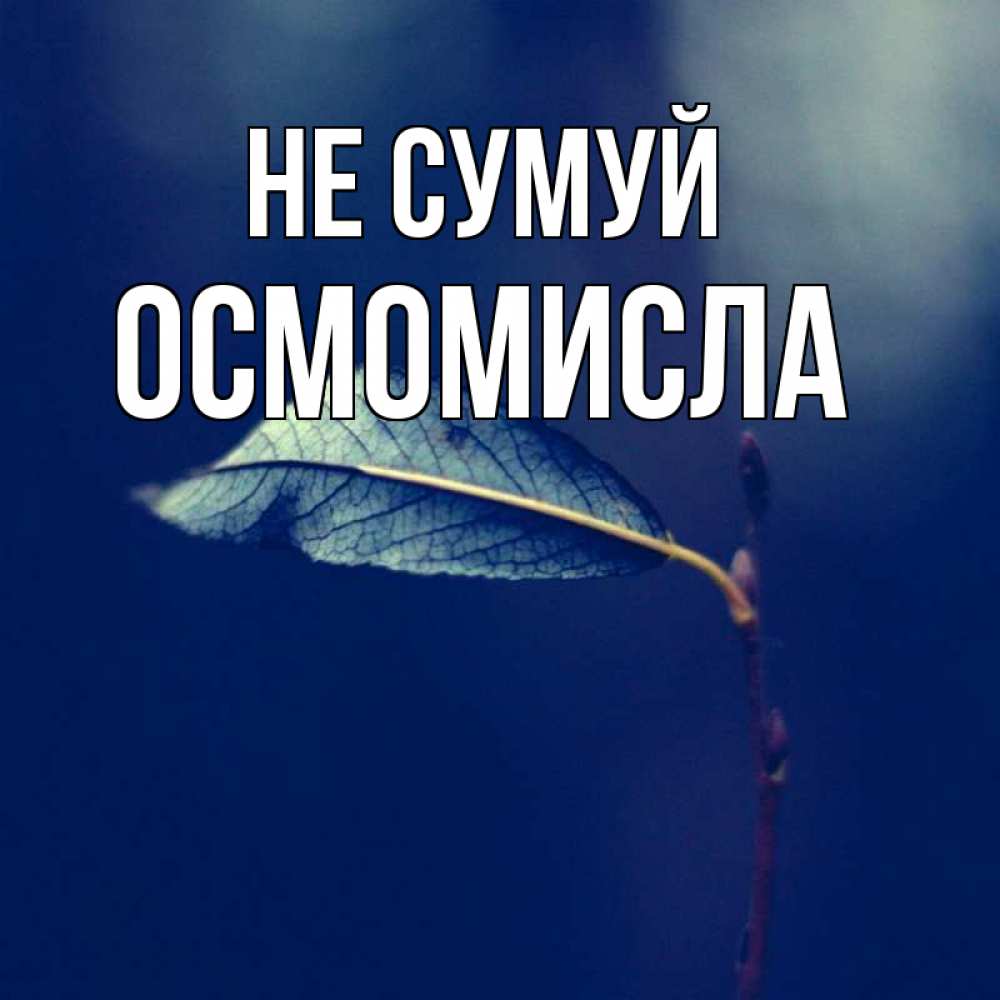 Открытка на каждый день з підписом, Осмомисла Не сумуй растение Прикольна листівка з побажанням онлайн скачати безкоштовно 