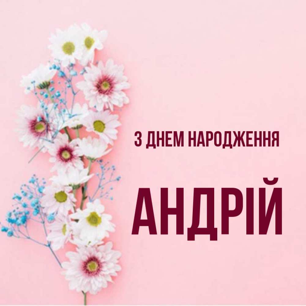 Открытка на каждый день з підписом, Андрій З Днем народження Родная моя с днем рождения тебя картинка с цветами белыми и голубыми Прикольна листівка з побажанням онлайн скачати безкоштовно 