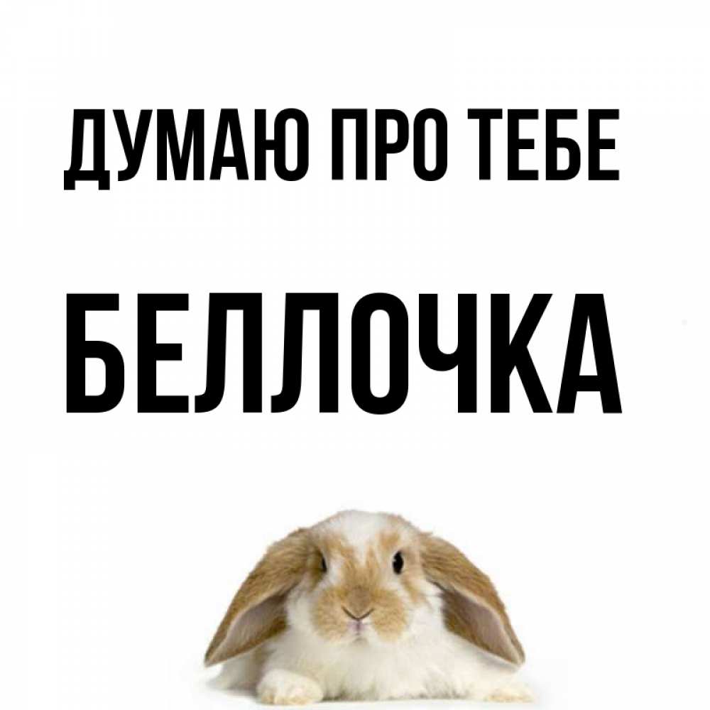 Открытка на каждый день з підписом, Беллочка Думаю про тебе подписать своими руками онлайн Прикольна листівка з побажанням онлайн скачати безкоштовно 