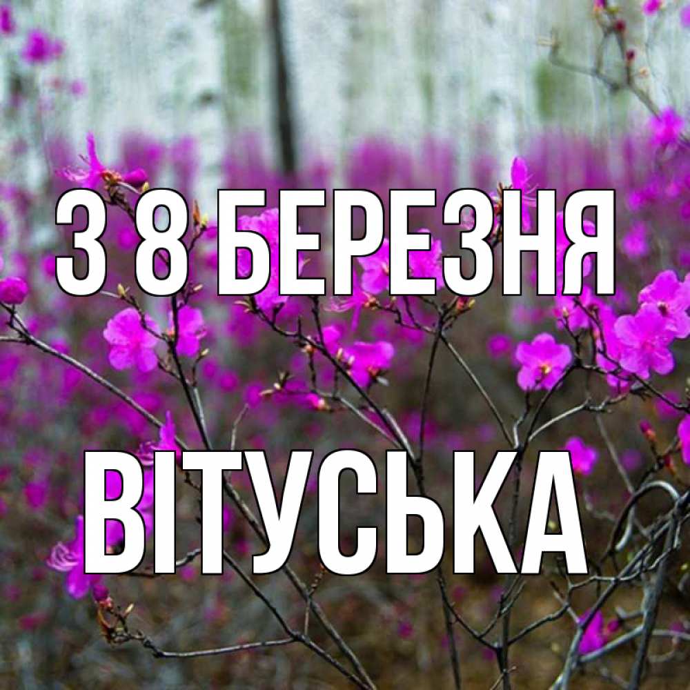 Открытка на каждый день з підписом, Вітуська З 8 БЕРЕЗНЯ дикие цветы Прикольна листівка з побажанням онлайн скачати безкоштовно 