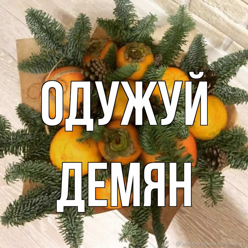 Открытка на каждый день з підписом, Демян Одужуй апельсины и хурьма Прикольна листівка з побажанням онлайн скачати безкоштовно 