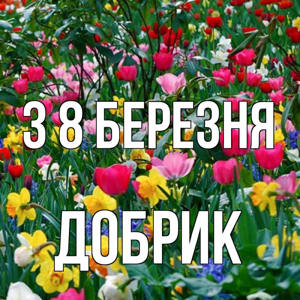 Открытка на каждый день з підписом, Добрик З 8 БЕРЕЗНЯ с международным женским днем поздравления для женщины Прикольна листівка з побажанням онлайн скачати безкоштовно 