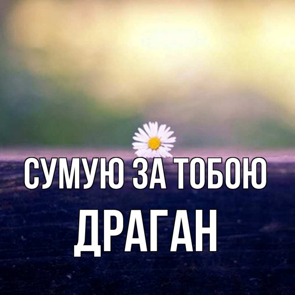 Открытка на каждый день з підписом, Драган Сумую за тобою приходи в гости Прикольна листівка з побажанням онлайн скачати безкоштовно 