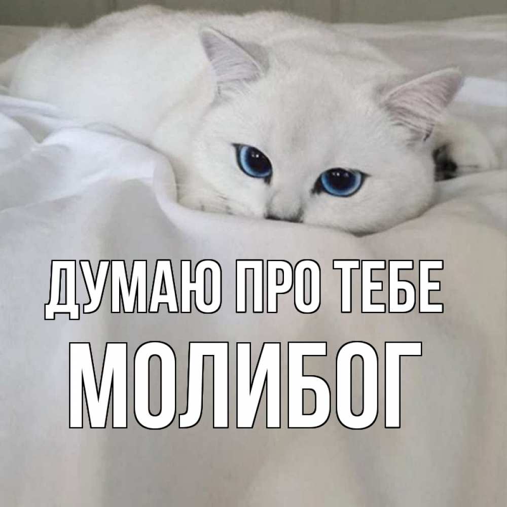 Открытка на каждый день з підписом, Молибог Думаю про тебе я очень по тебе скучаю и тоскую Прикольна листівка з побажанням онлайн скачати безкоштовно 