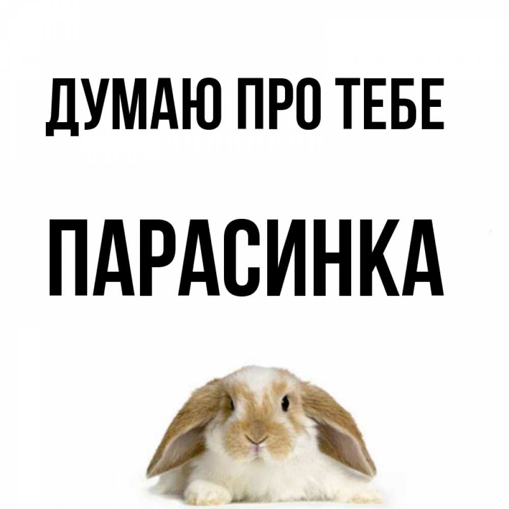 Открытка на каждый день з підписом, Парасинка Думаю про тебе подписать своими руками онлайн Прикольна листівка з побажанням онлайн скачати безкоштовно 