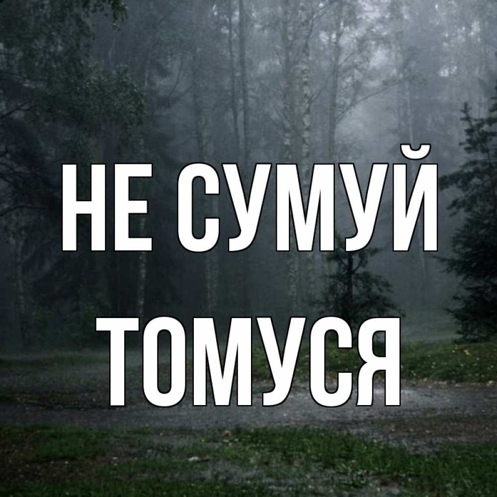 Открытка на каждый день з підписом, Томуся Не сумуй осень Прикольна листівка з побажанням онлайн скачати безкоштовно 