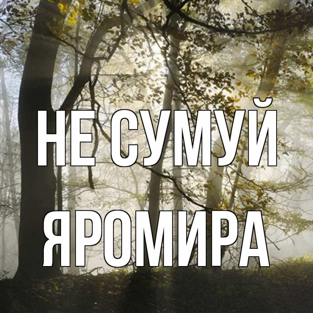 Открытка на каждый день з підписом, Яромира Не сумуй лес и свет Прикольна листівка з побажанням онлайн скачати безкоштовно 