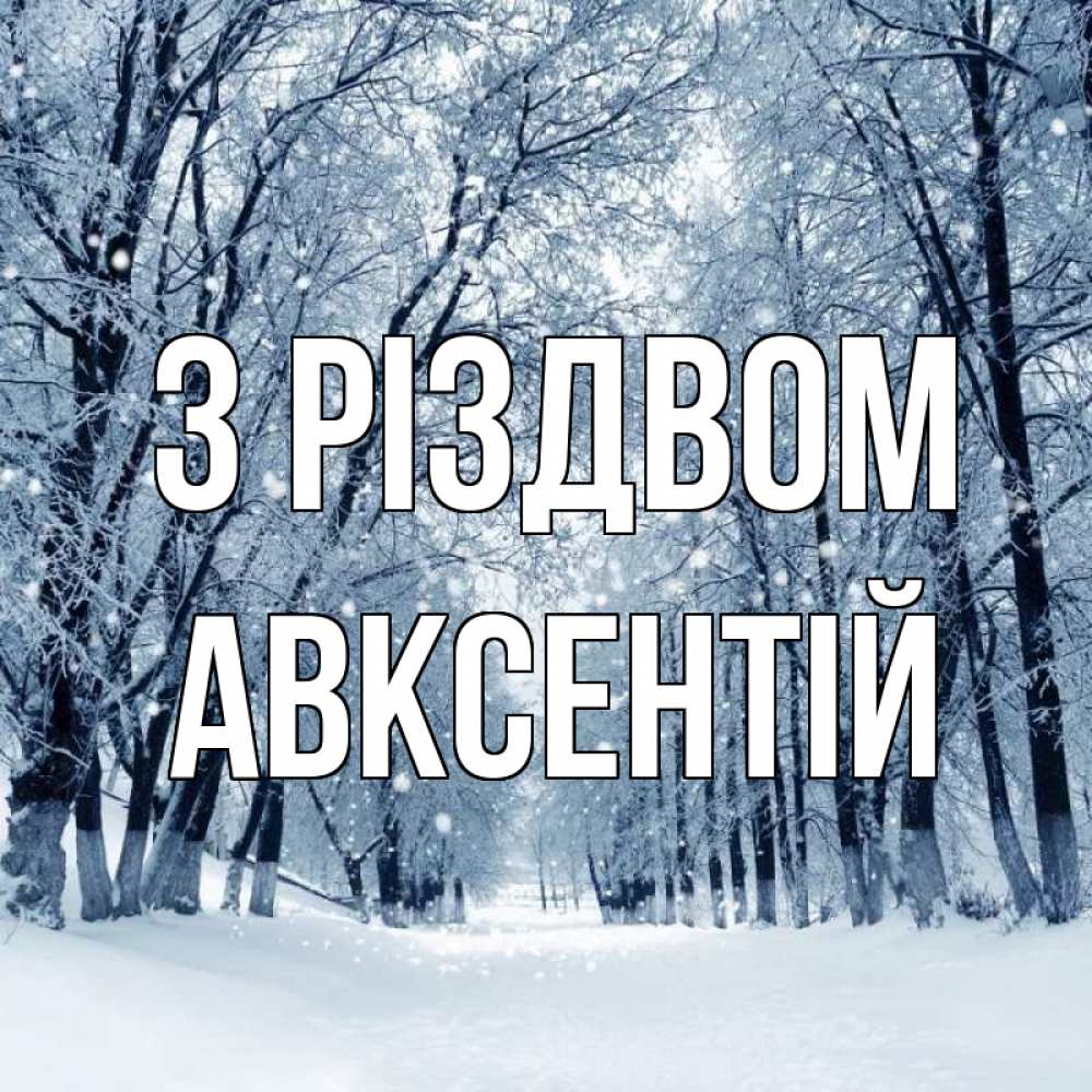 Открытка на каждый день з підписом, Авксентій З Різдвом снег, лес, парк Прикольна листівка з побажанням онлайн скачати безкоштовно 