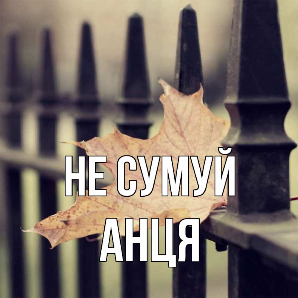 Открытка на каждый день з підписом, Анця Не сумуй лист клена Прикольна листівка з побажанням онлайн скачати безкоштовно 