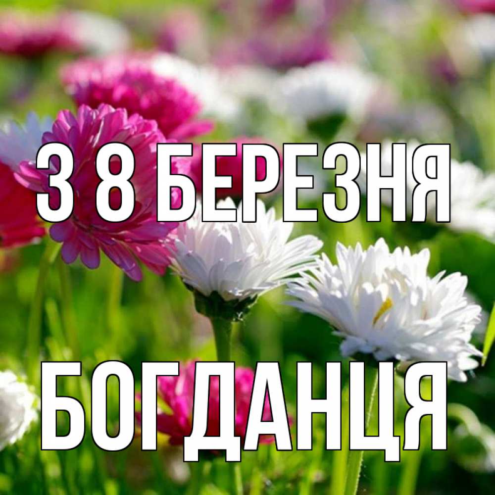 Открытка на каждый день з підписом, Богданця З 8 БЕРЕЗНЯ международный женский день 1 Прикольна листівка з побажанням онлайн скачати безкоштовно 