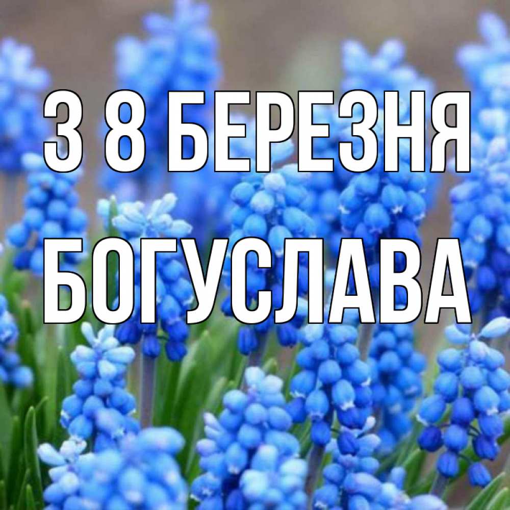 Открытка на каждый день з підписом, Богуслава З 8 БЕРЕЗНЯ Поздравительная открытка для женщин с цветами на праздничную дату Прикольна листівка з побажанням онлайн скачати безкоштовно 