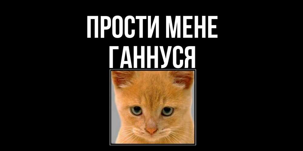 Открытка на каждый день з підписом, Ганнуся Прости мене рыжий грустный кот просит прощения Прикольна листівка з побажанням онлайн скачати безкоштовно 