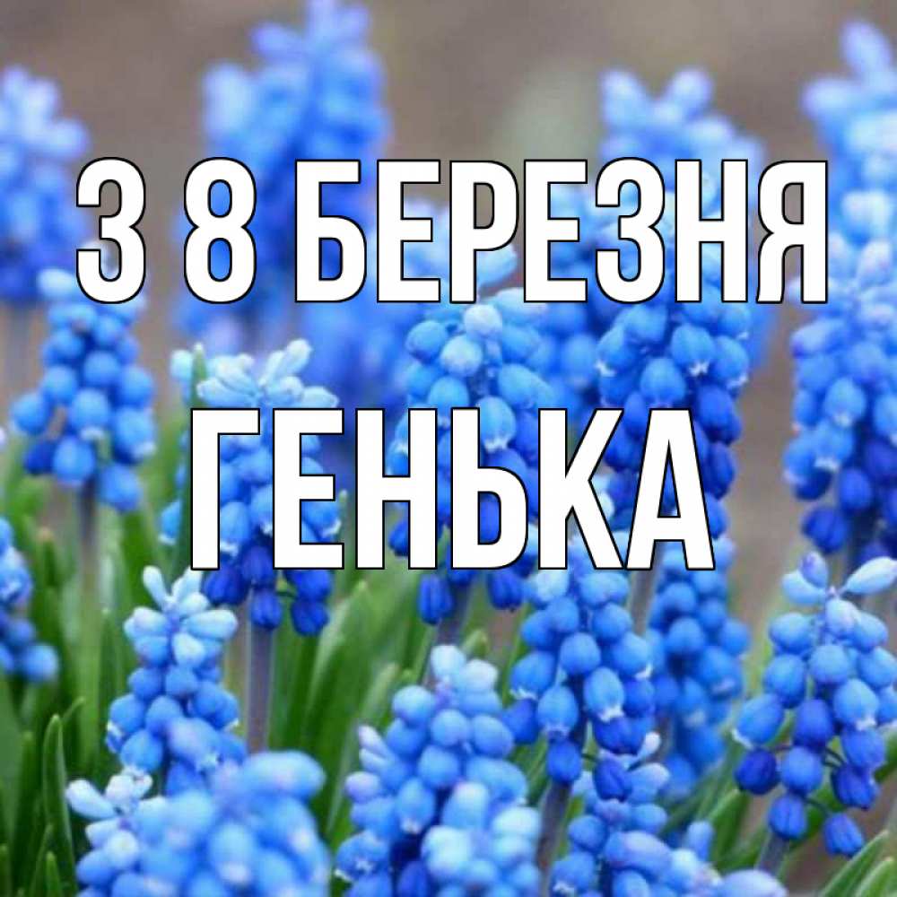 Открытка на каждый день з підписом, Генька З 8 БЕРЕЗНЯ Поздравительная открытка для женщин с цветами на праздничную дату Прикольна листівка з побажанням онлайн скачати безкоштовно 