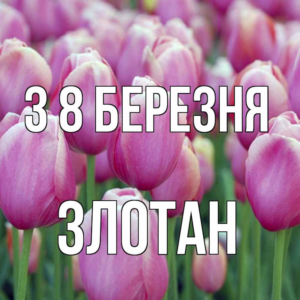 Открытка на каждый день з підписом, Злотан З 8 БЕРЕЗНЯ на международный женский день 3 Прикольна листівка з побажанням онлайн скачати безкоштовно 