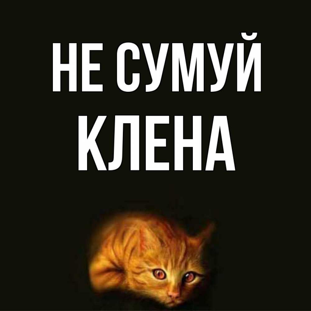 Открытка на каждый день з підписом, Клена Не сумуй лежащий кот в темноте Прикольна листівка з побажанням онлайн скачати безкоштовно 