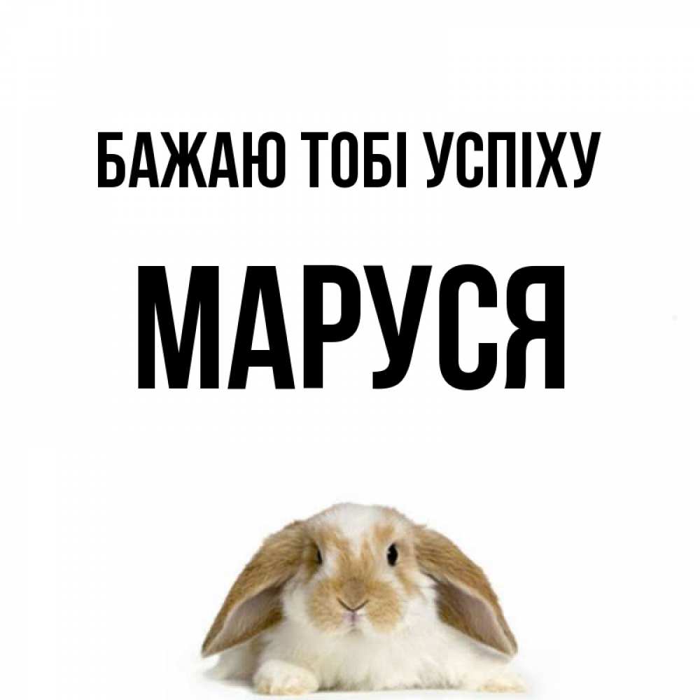 Открытка на каждый день з підписом, Маруся Бажаю тобі успіху открытки с произвольным текстом который можно вставить в открытку и создать ее самостоятельно бесплатно онлайн Прикольна листівка з побажанням онлайн скачати безкоштовно 