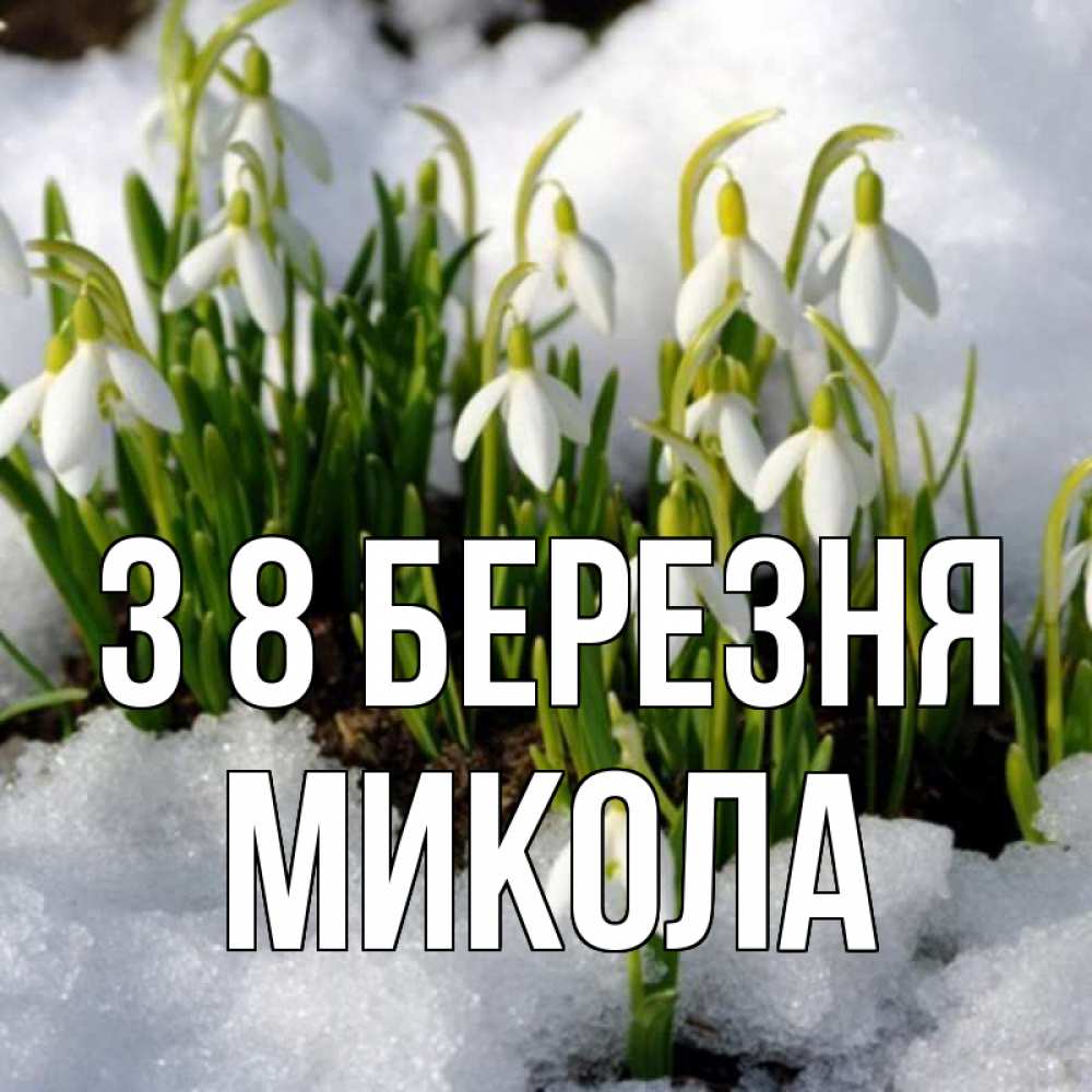 Открытка на каждый день з підписом, Микола З 8 БЕРЕЗНЯ цветы весенние Прикольна листівка з побажанням онлайн скачати безкоштовно 
