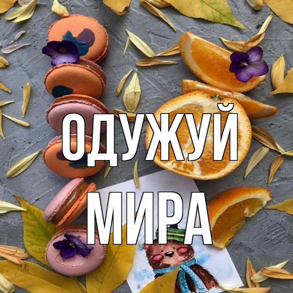 Открытка на каждый день з підписом, Мира Одужуй не болейте Прикольна листівка з побажанням онлайн скачати безкоштовно 