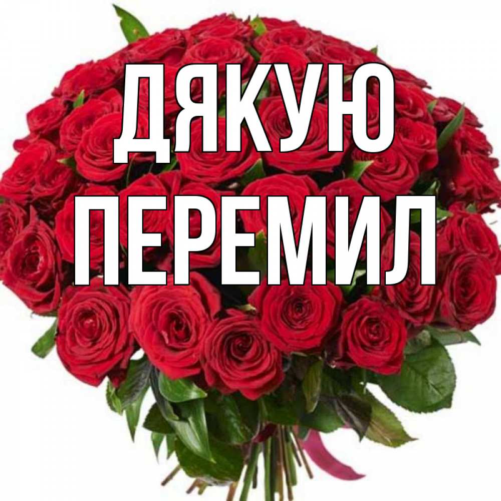 Открытка на каждый день з підписом, Перемил Дякую букет красных роз Прикольна листівка з побажанням онлайн скачати безкоштовно 