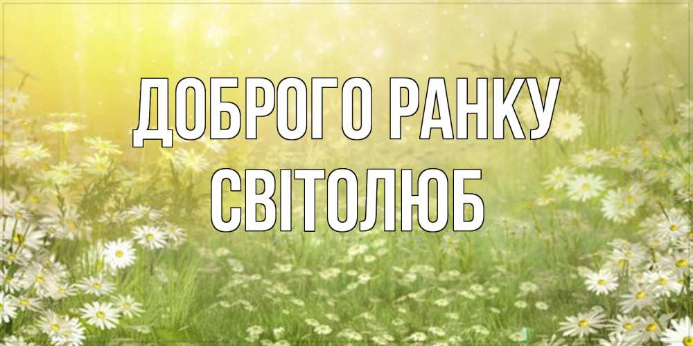 Открытка на каждый день з підписом, Світолюб Доброго ранку доброе утро Прикольна листівка з побажанням онлайн скачати безкоштовно 