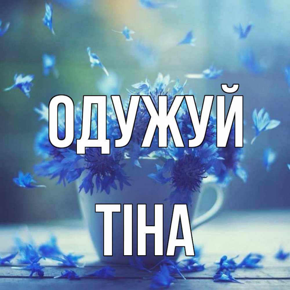 Открытка на каждый день з підписом, Тіна Одужуй кружка с зельем и цветами Прикольна листівка з побажанням онлайн скачати безкоштовно 