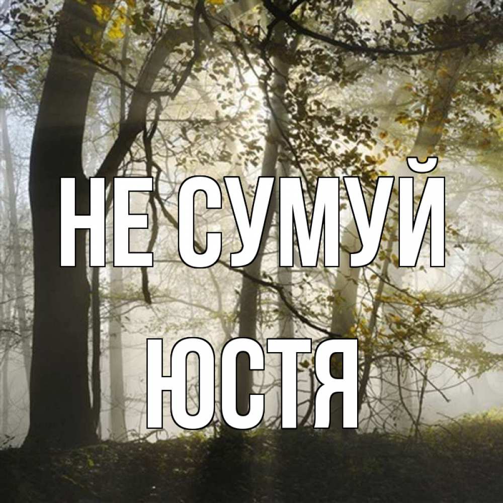 Открытка на каждый день з підписом, Юстя Не сумуй лес и свет Прикольна листівка з побажанням онлайн скачати безкоштовно 