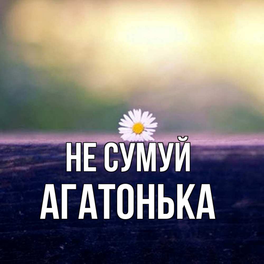 Открытка на каждый день з підписом, Агатонька Не сумуй красота Прикольна листівка з побажанням онлайн скачати безкоштовно 